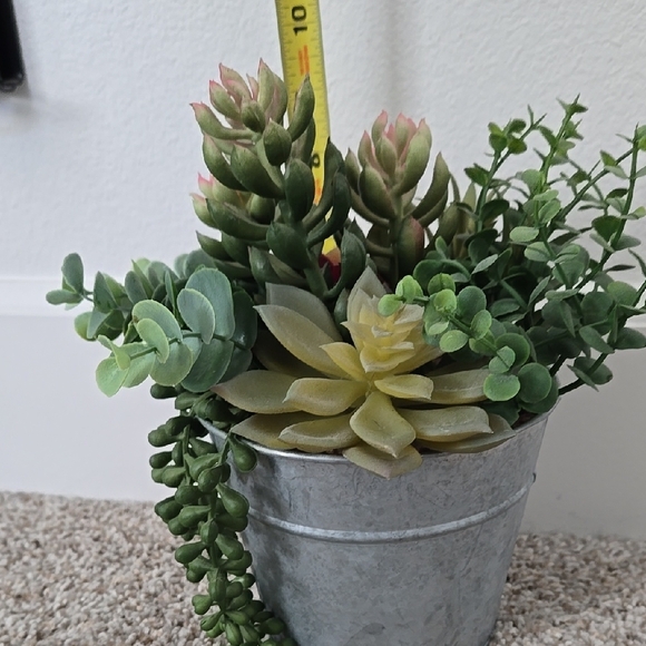Succulent Arrangement in Gray Metal Pot - Picture 8 of 9